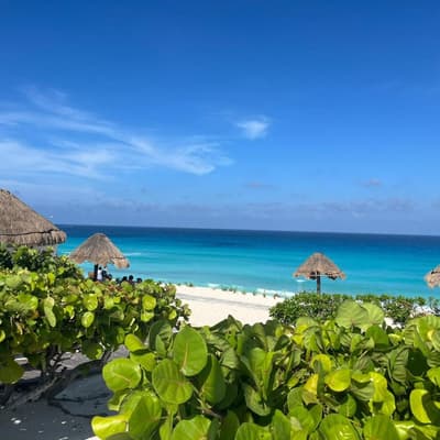 AMIGOS A CANCÚN CON DEPARTAMENTO + VUELOS Y XCARET PLUS desde 9,465 MXN
