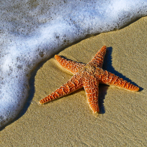 SEI A UN PASSO DAL TUO VIAGGIO!