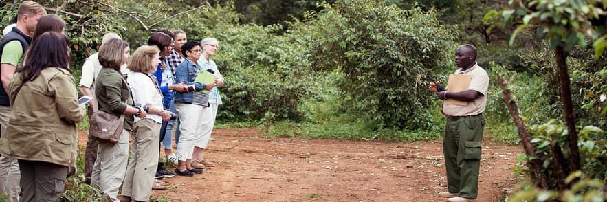 Image - Escorted Tours