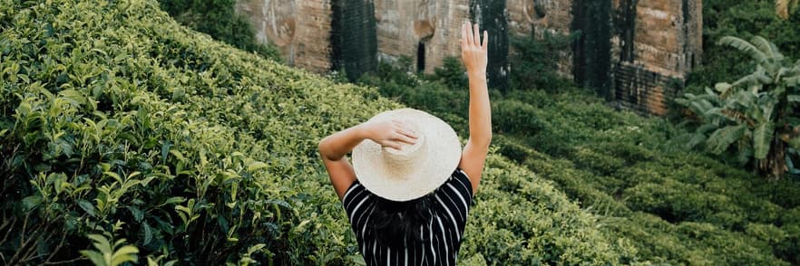 Image - SPÉCIALISTE