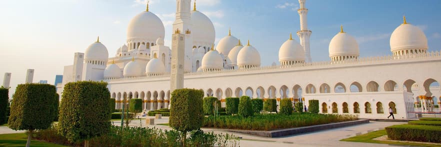 Image - Emirats Arabs Units