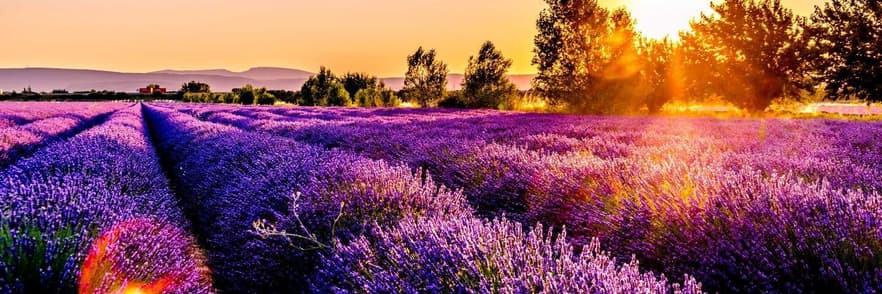 Imagen - Semana Santa