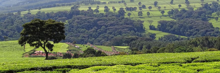 Image - Kenya  | Tanzania