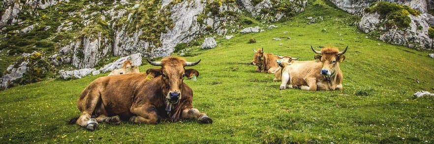 Imagem - Turismo Rural