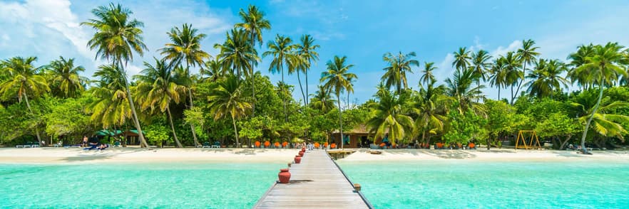 Bild - Dubai+Malediven