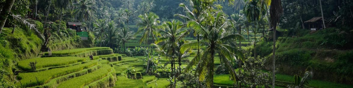 Imagen - Bali I Indonesia