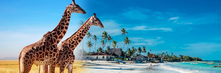 Immagine - Speciale Africa