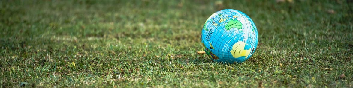 Imagem - Eco Friendly