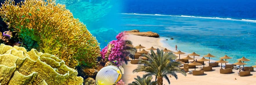 Immagine - Last Minute Mar Rosso