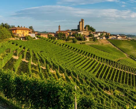 PIEDMONT - THE SCENTS OF THE LANGHE