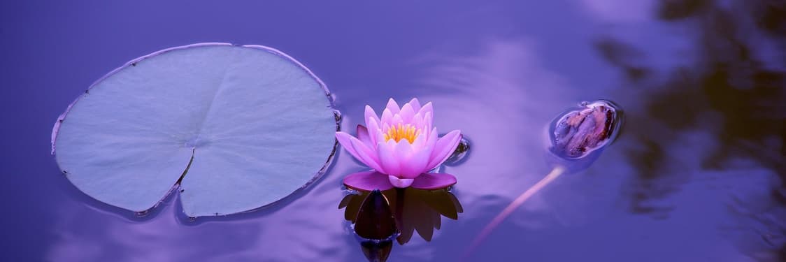 Wellness Hotel 1 notte