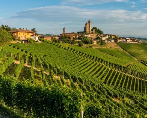 PIEDMONT - THE SCENTS OF THE LANGHE