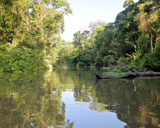 Tortuguero