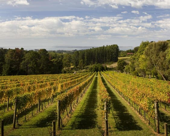 Mornington Peninsula