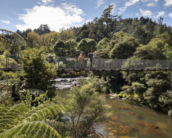 Coromandel schiereiland