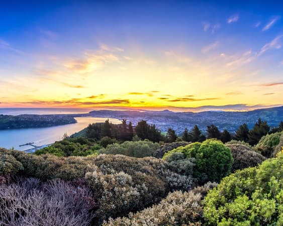 Dunedin