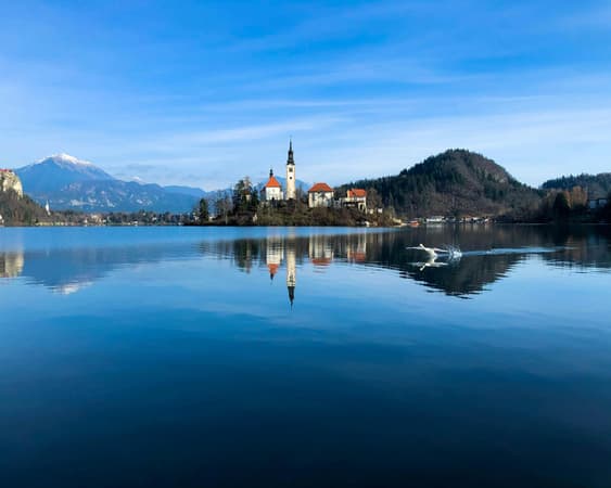 Bled