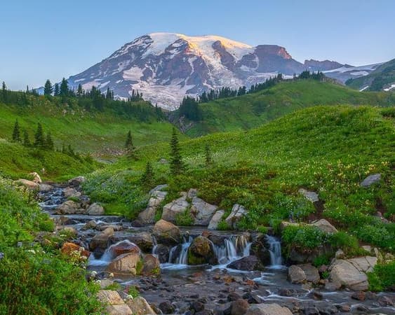 Mount Rainier National Park WA