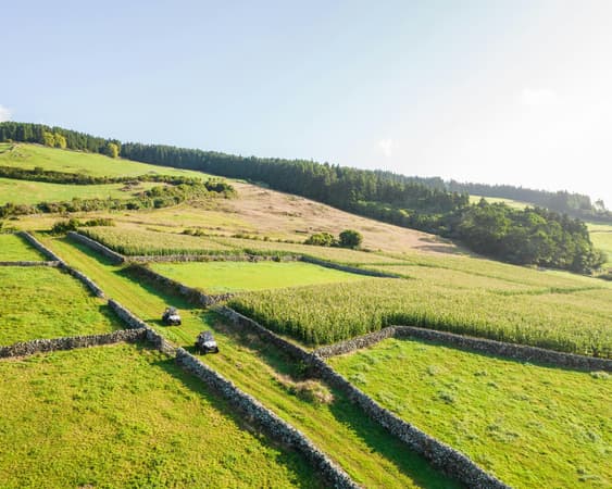 Terceira Island, Azores