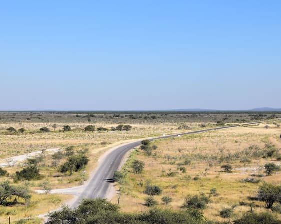 Etosha National Park