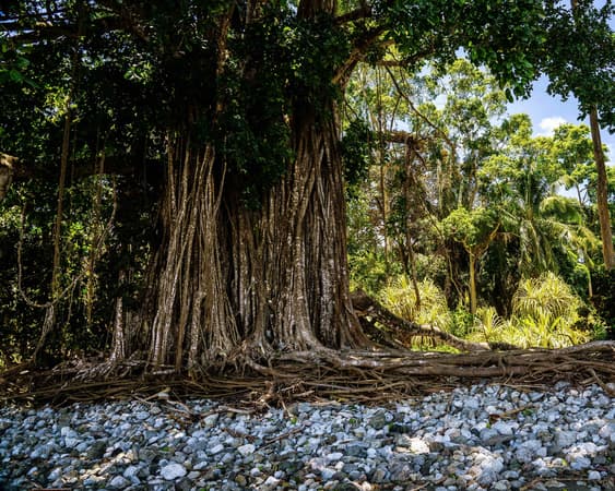 Corcovado Nationaal Park