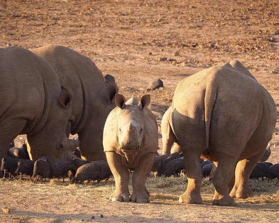 Khomas (Region), Namibia