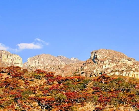Chimanimani National Park