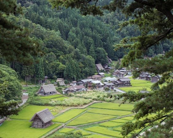 Shirakawa