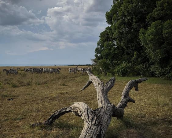 Welgevonden Wildreservat