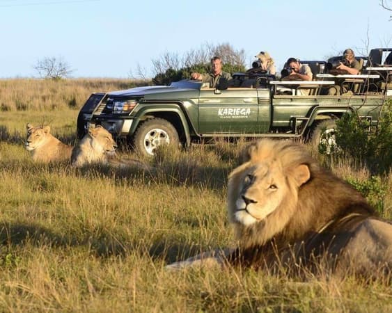 Kariega Game Reserve Oost-Kaap