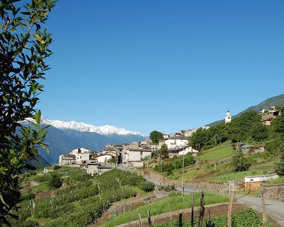 Tirano
