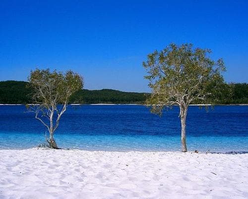 Fraser Island
