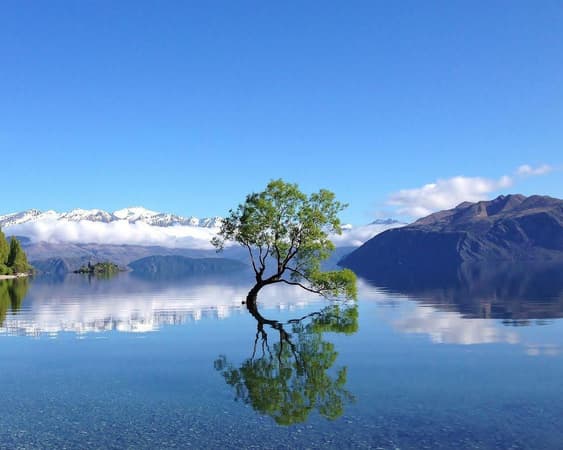 Wanaka