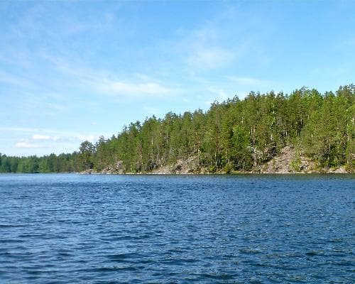 Leppäjärvi