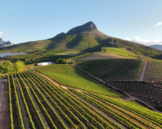 Stellenbosch
