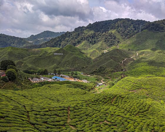 Cameron Highlands