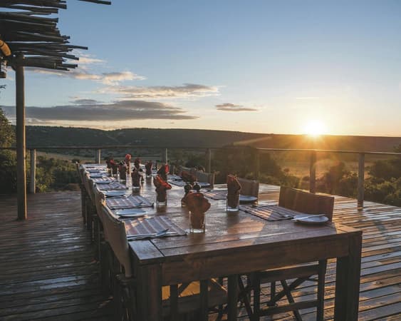 Amakhala Natuurreservaat