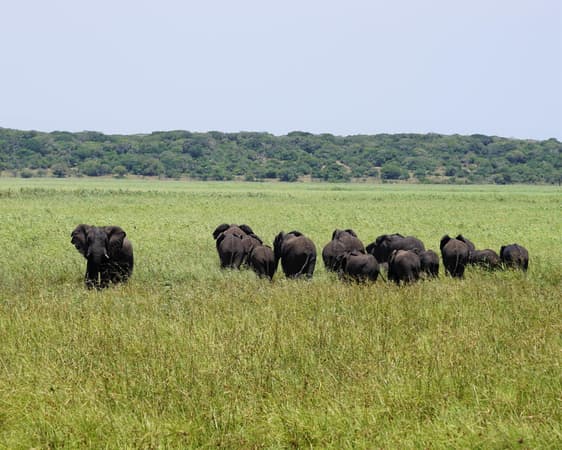Reserva Especial de Maputo