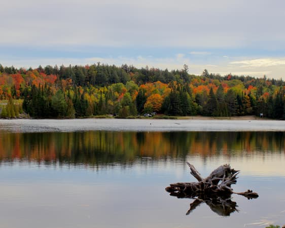 Algonquin Provinciaal Park, Ontario
