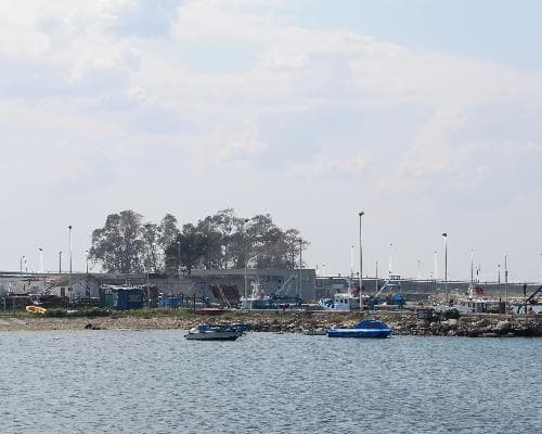 Margherita di Savoia