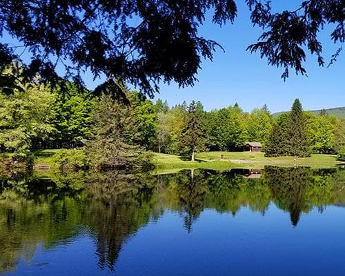 Green Mountain National Forest