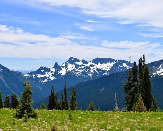 Mount Rainier National Park WA