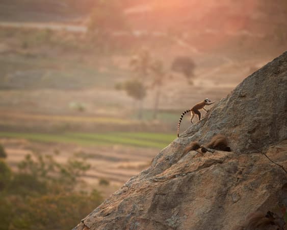 Sanbona Wildreservat