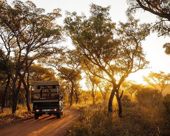 Welgevonden Wildreservaat