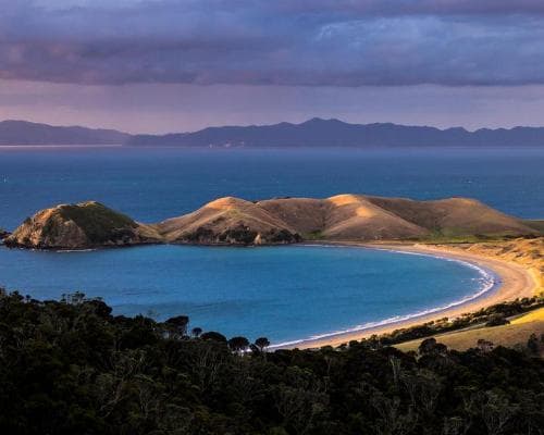 Coromandel