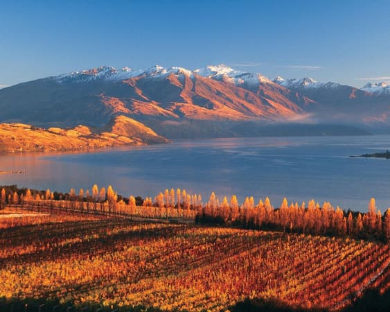 Wanaka