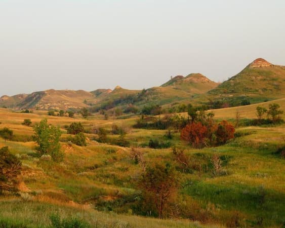 Medora ND