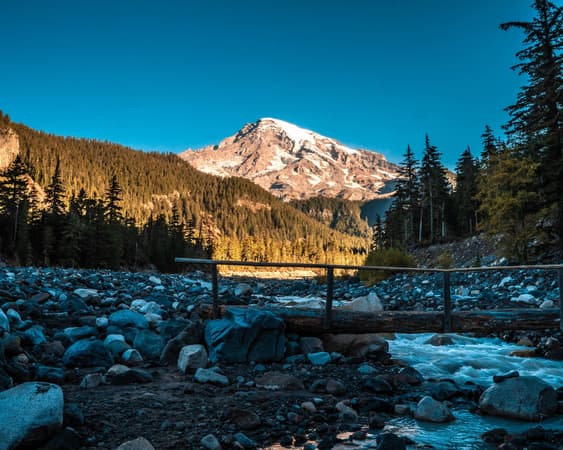 Mount Rainier National Park WA