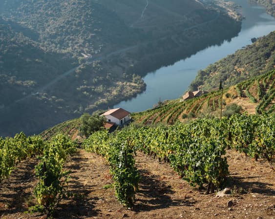 Douro