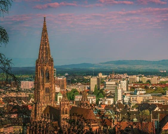 Friburgo (Provincia)